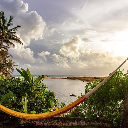 Casa Coral Hostel Luquillo Bagian luar foto