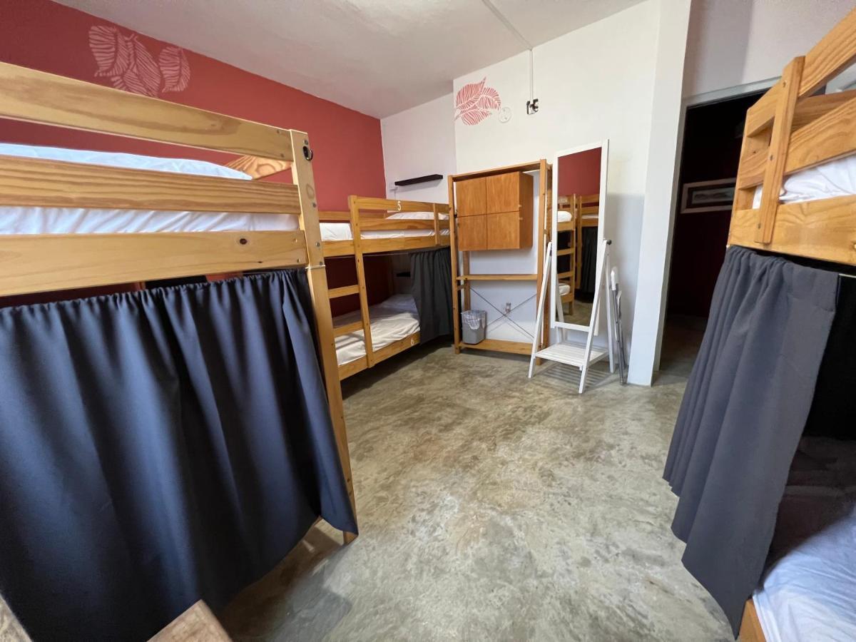 Casa Coral Hostel Luquillo Bagian luar foto