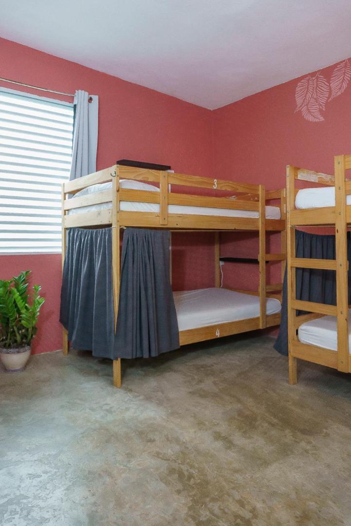 Casa Coral Hostel Luquillo Bagian luar foto